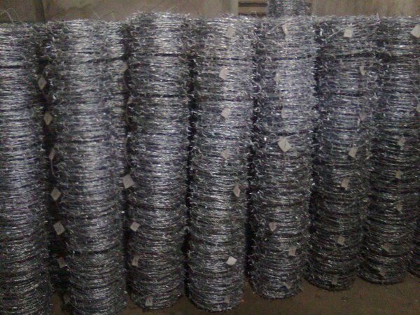 Dây thép gai hình dao